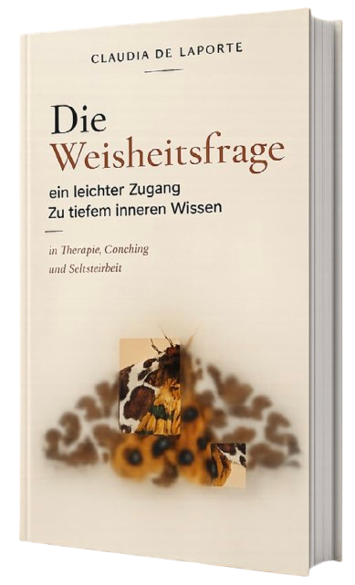Buchcover Die Weisheitsfrage